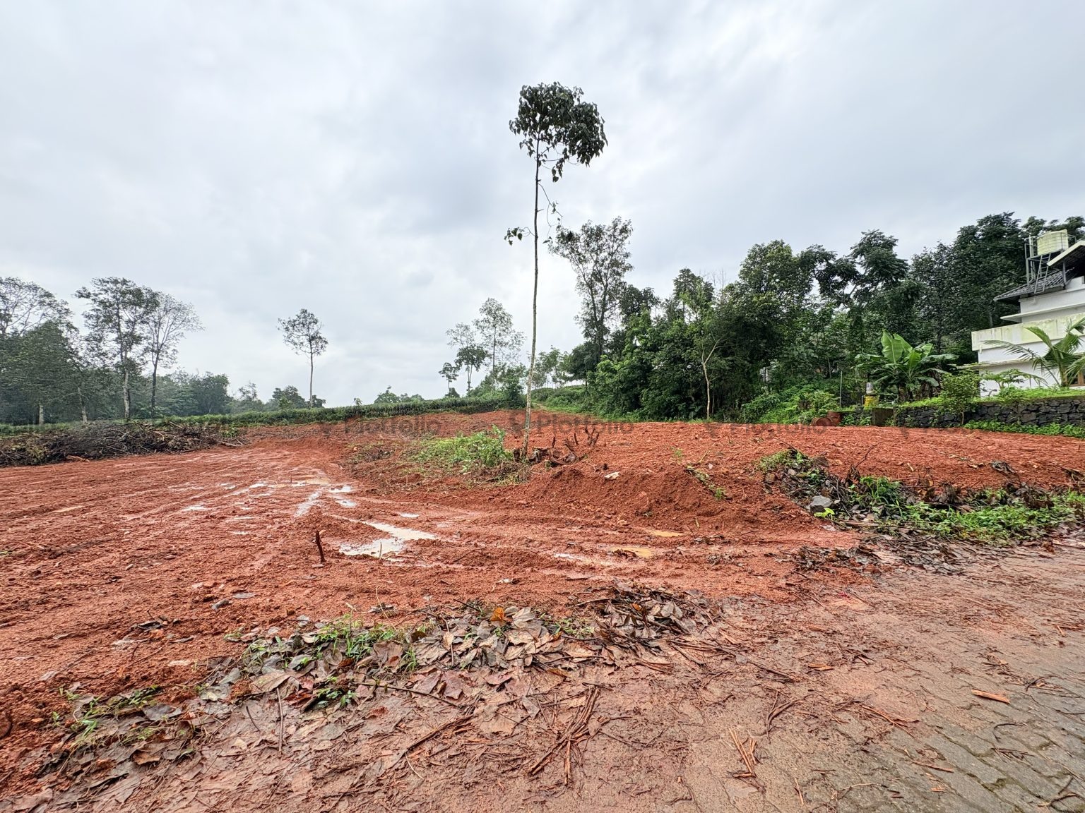 Plotf or sale near Puthenkurish