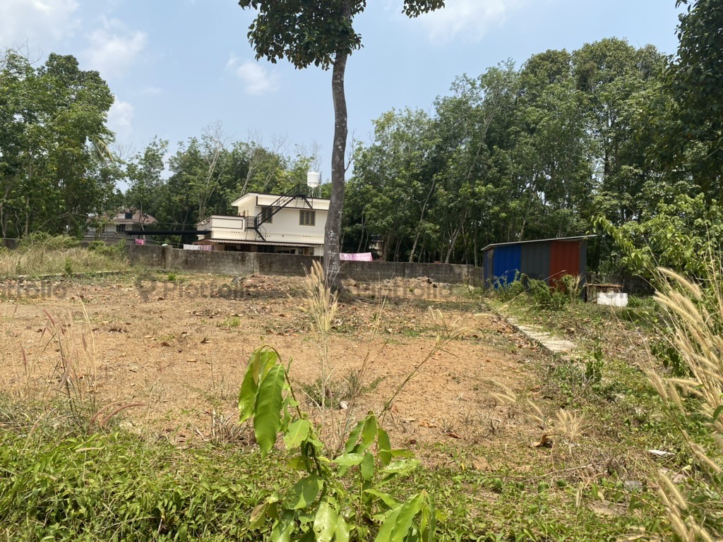 Residential plot at Chottanikkara
