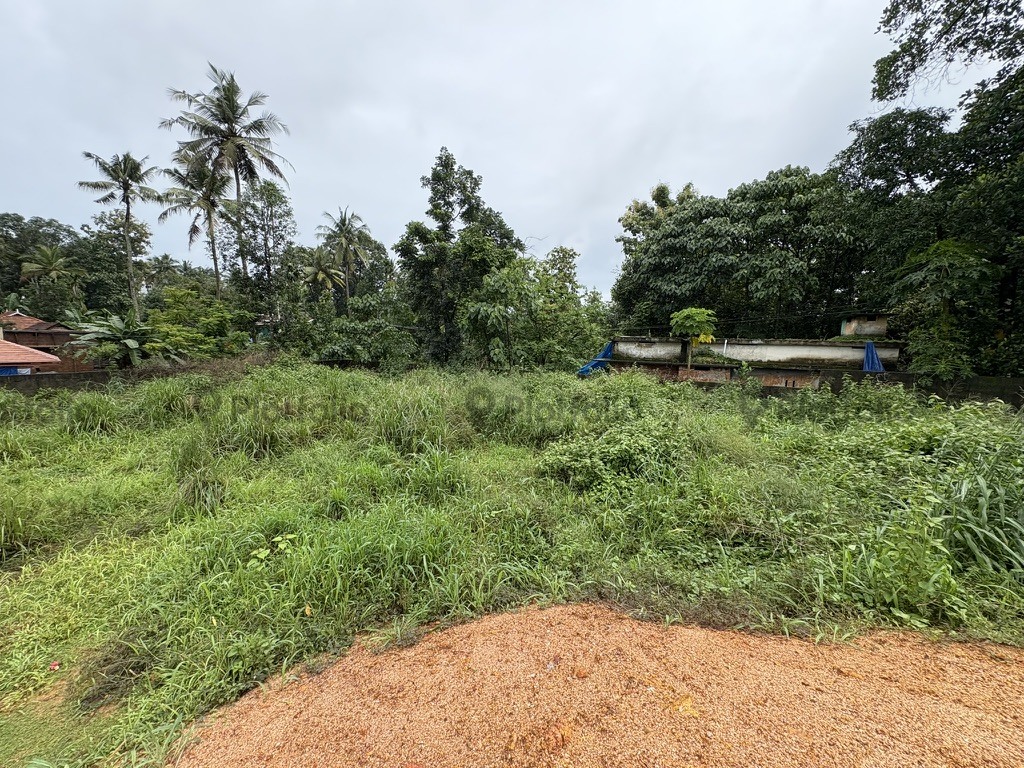 House plot for sale at chottanikkara
