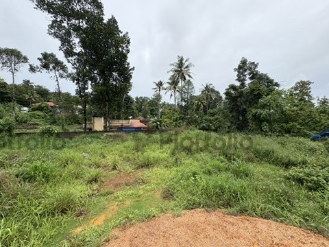 House plot for sale at chottanikkara