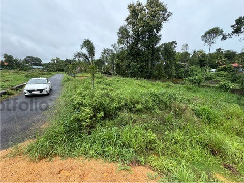 House plot for sale at chottanikkara