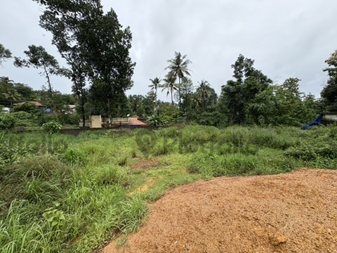 House plot for sale at chottanikkara